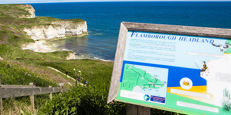 Bird Watching at Headlands Restaurant on Flamborough Head - Bird Watchers - Ornithologists - Seabirds - Bempton Cliffs RSPB Reserve